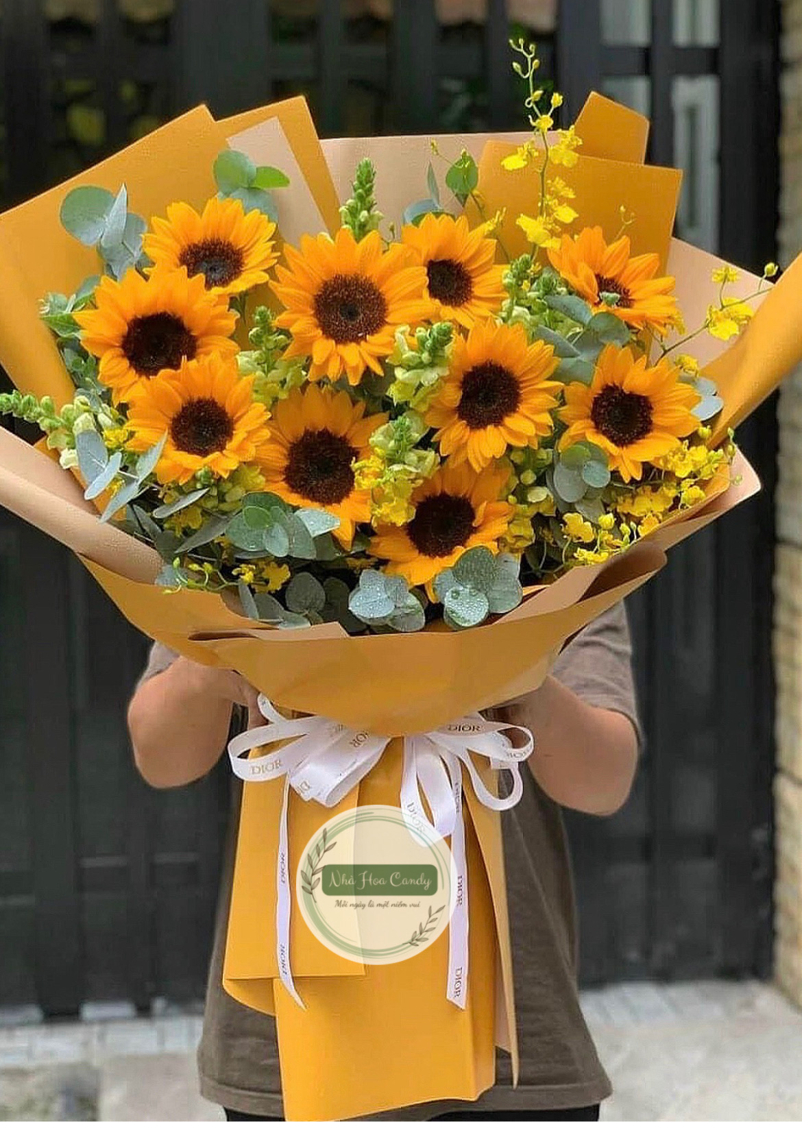 Bạn tôi - Bó hoa hướng dương