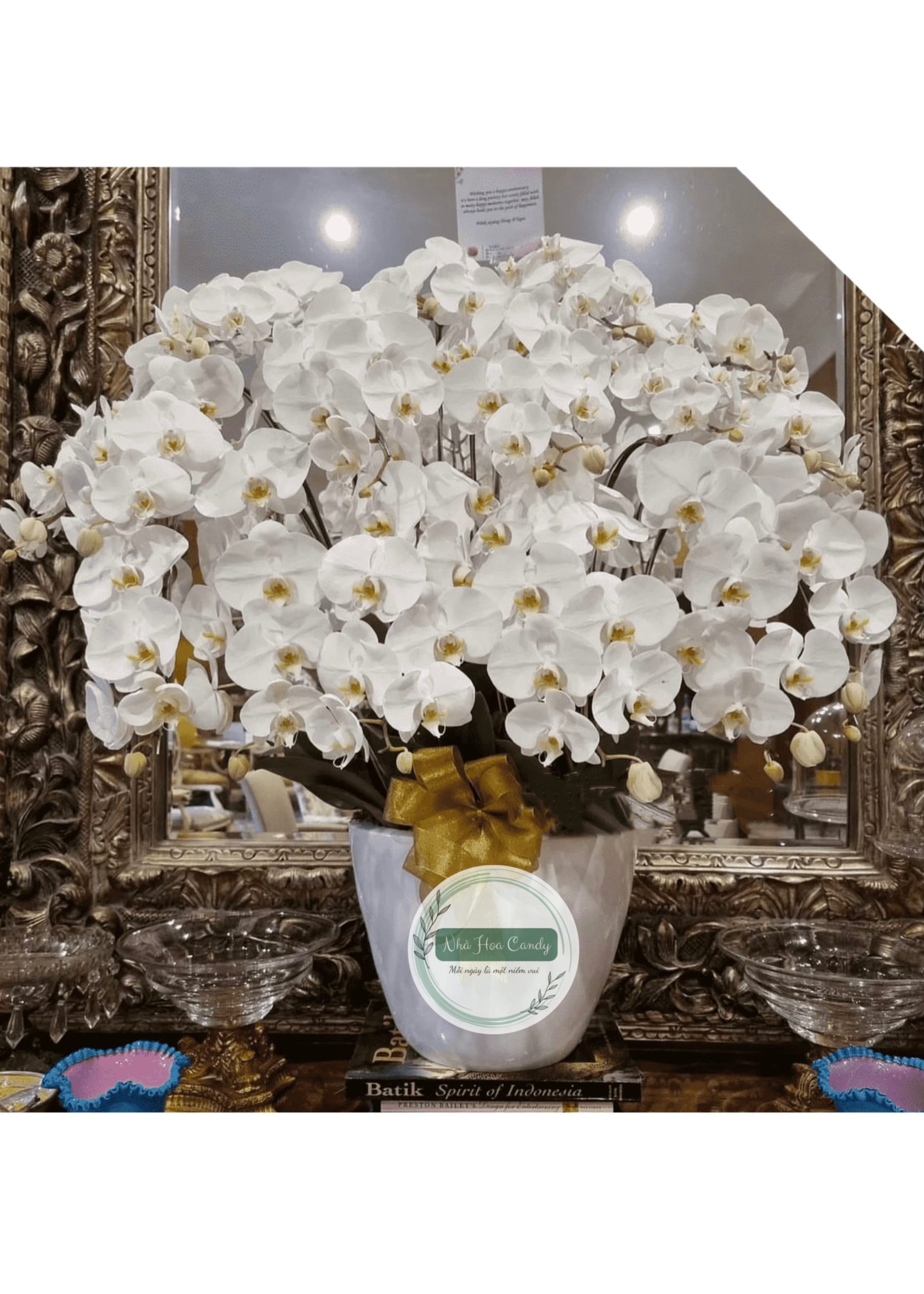 Khởi đầu may mắn - chậu lan hồ điệp 18 cành