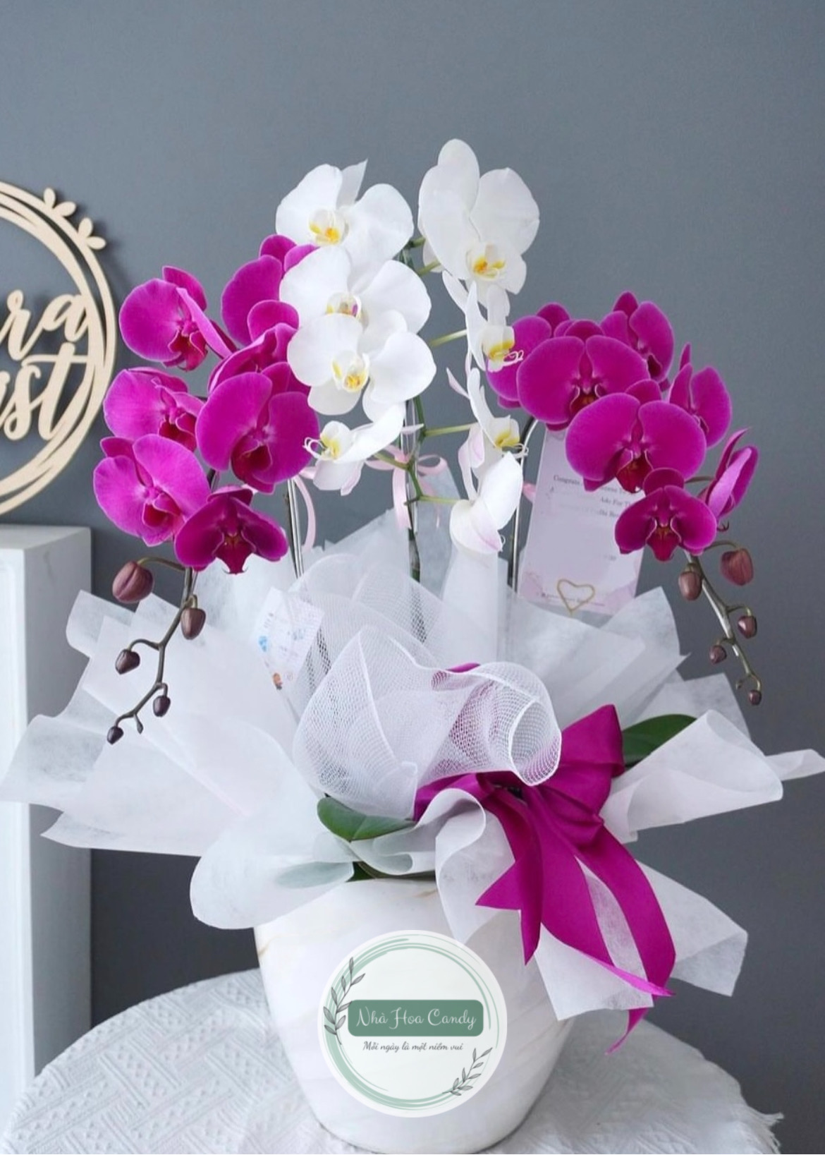 Trường thọ - chậu lan hồ điệp 3 cành