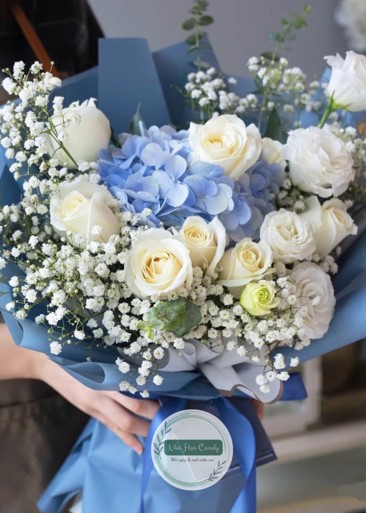 Hello ngày mới