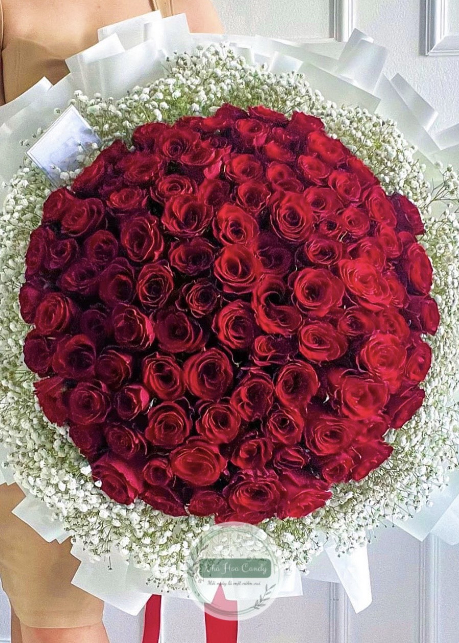 Câu chuyện yêu - bó 100 hồng đỏ