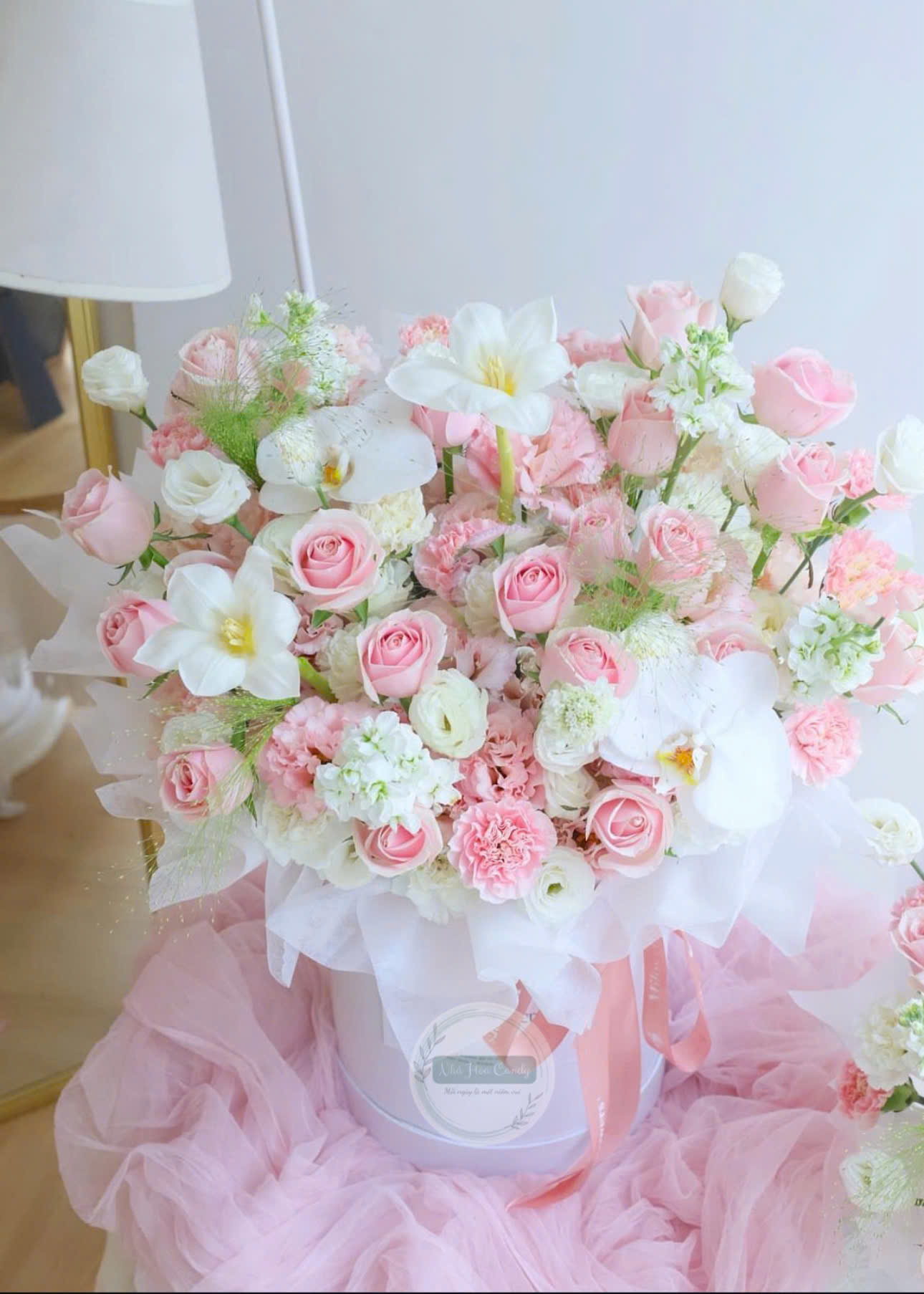 Bloom