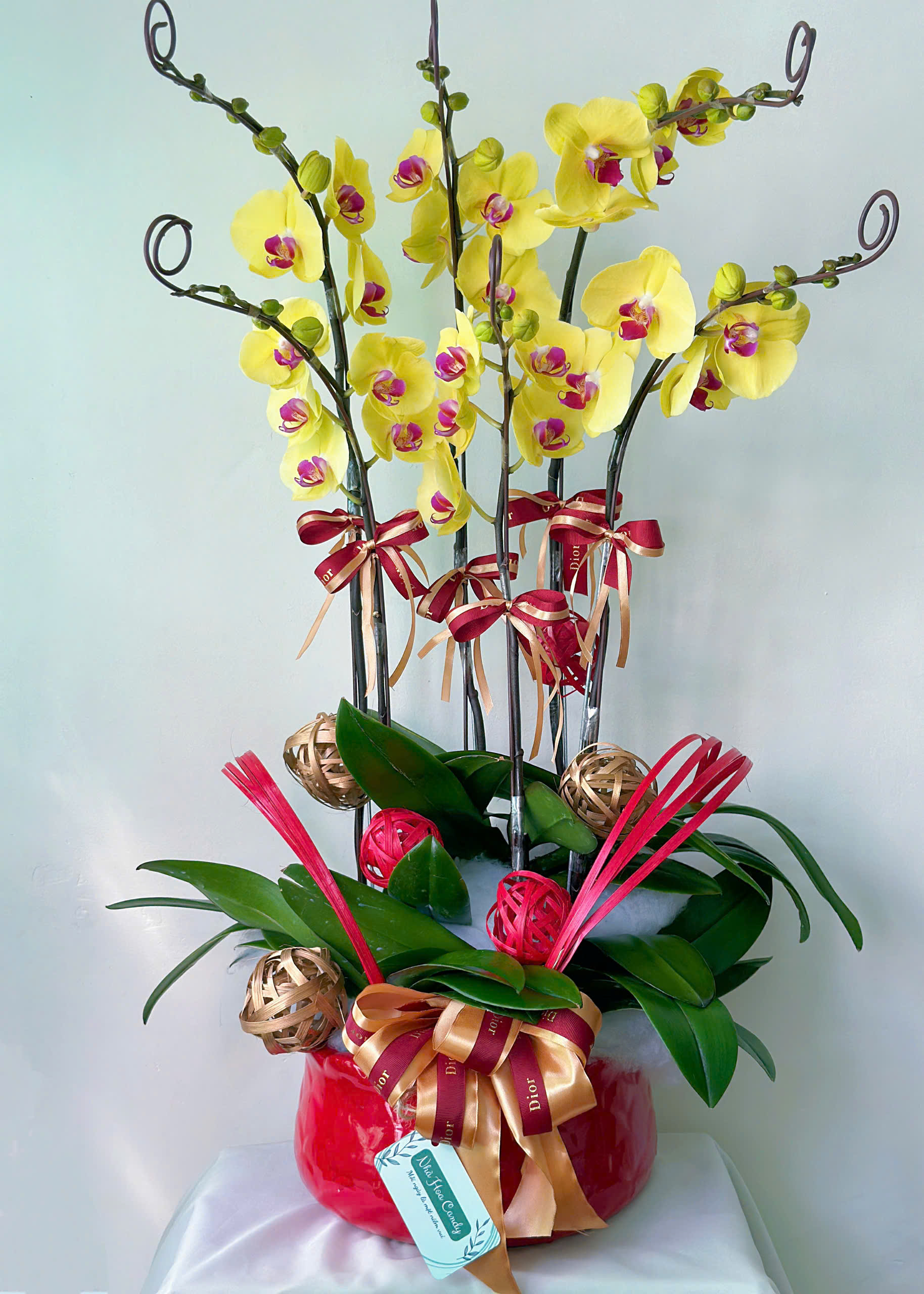 Chậu lan hồ điệp 6 cành vàng- decor sang
