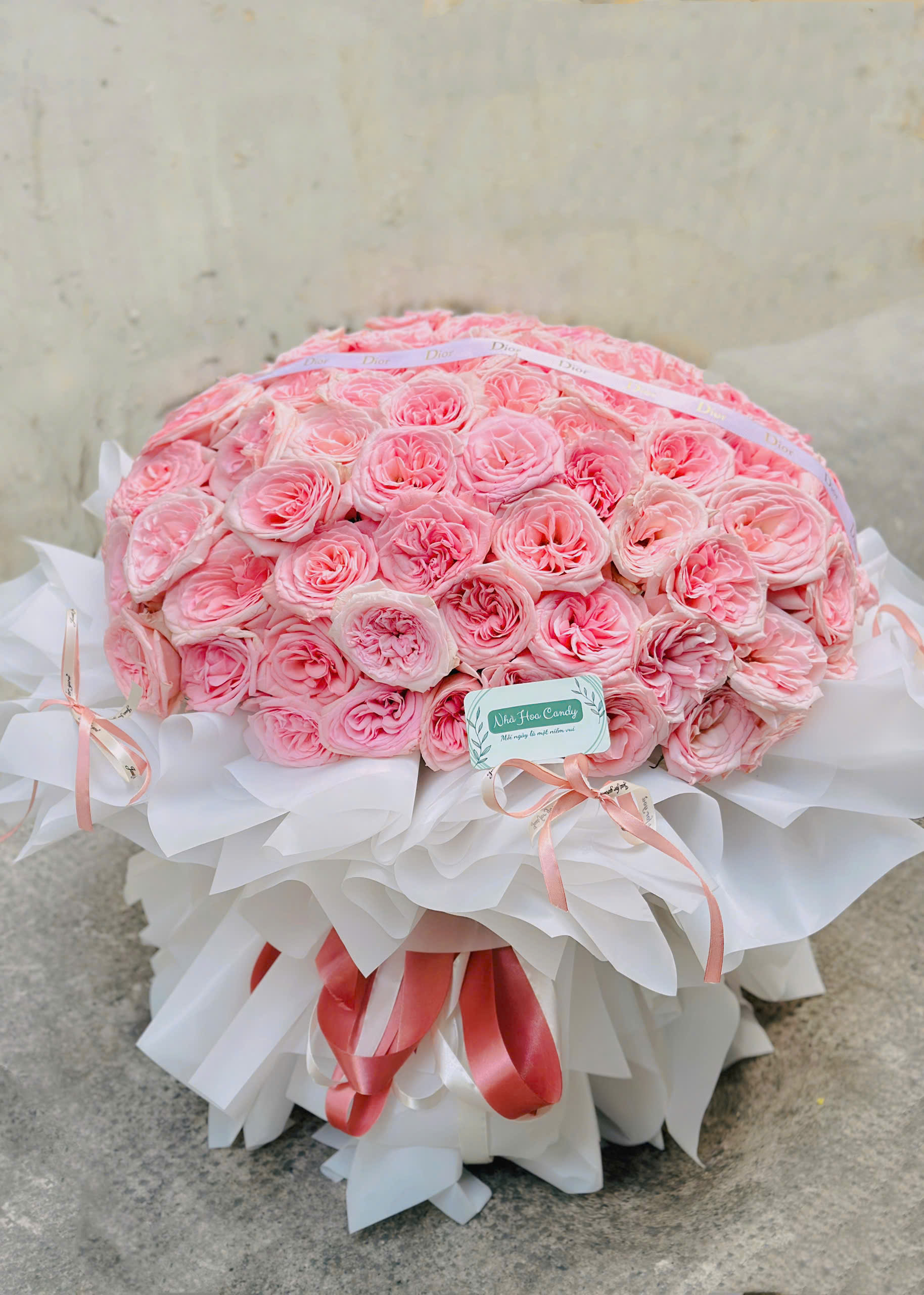 Tình yêu màu hồng 2